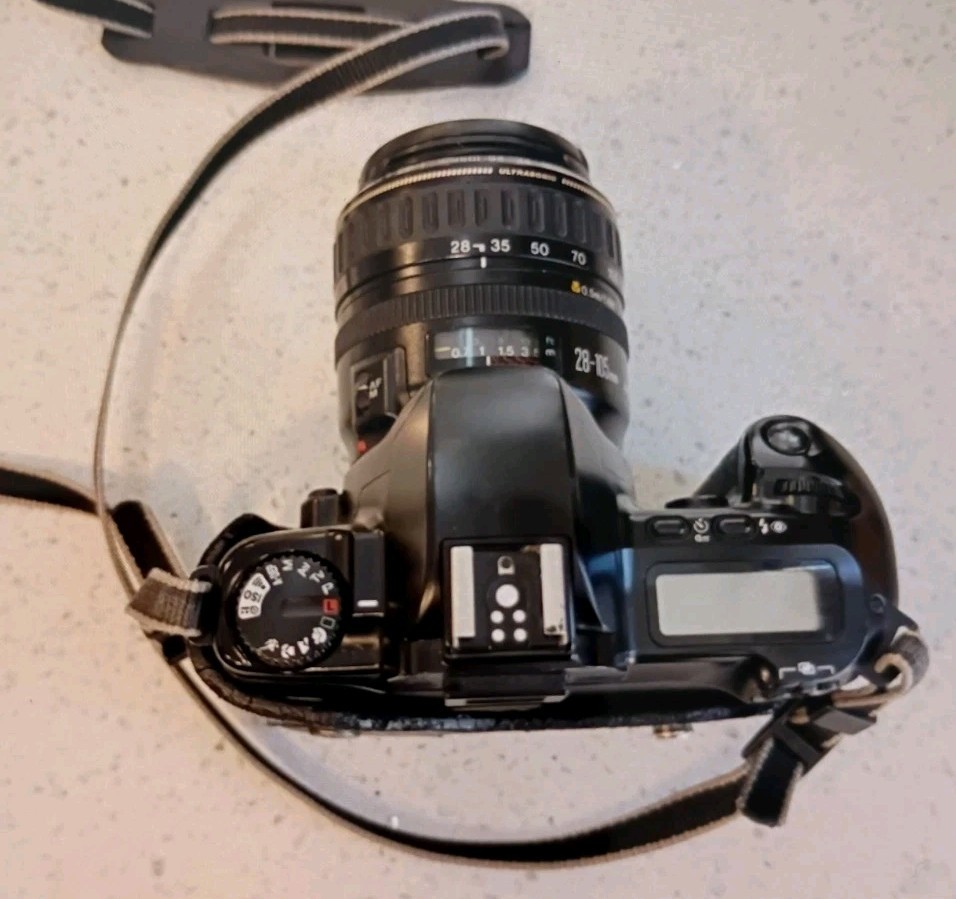 Canon EOS Rebel XS 35mm film SLR camera EF28-105mm f/3.5-4.5 yellow flower lens