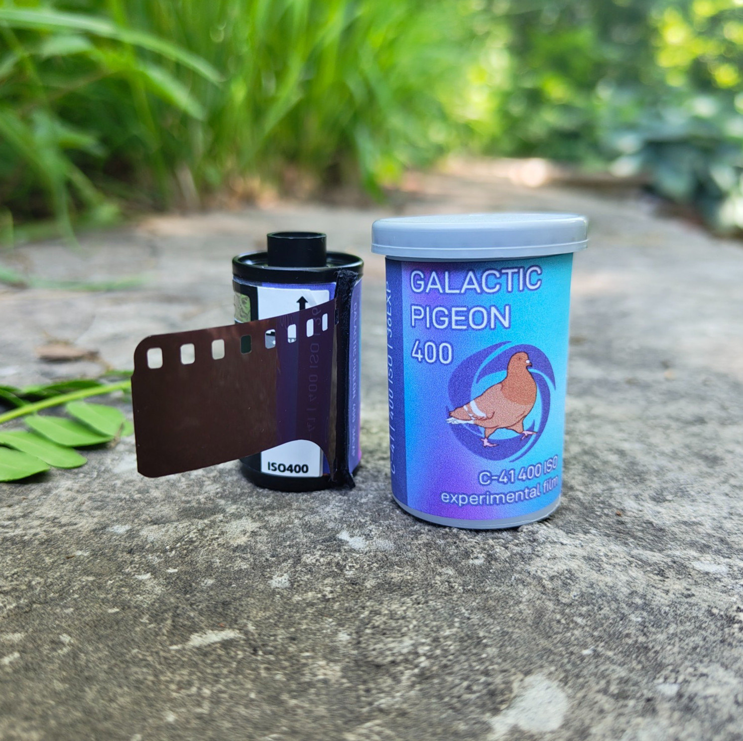 Galatic Pigeon 400 – 35mm Experimental Color Film – 36 Exposure Roll
