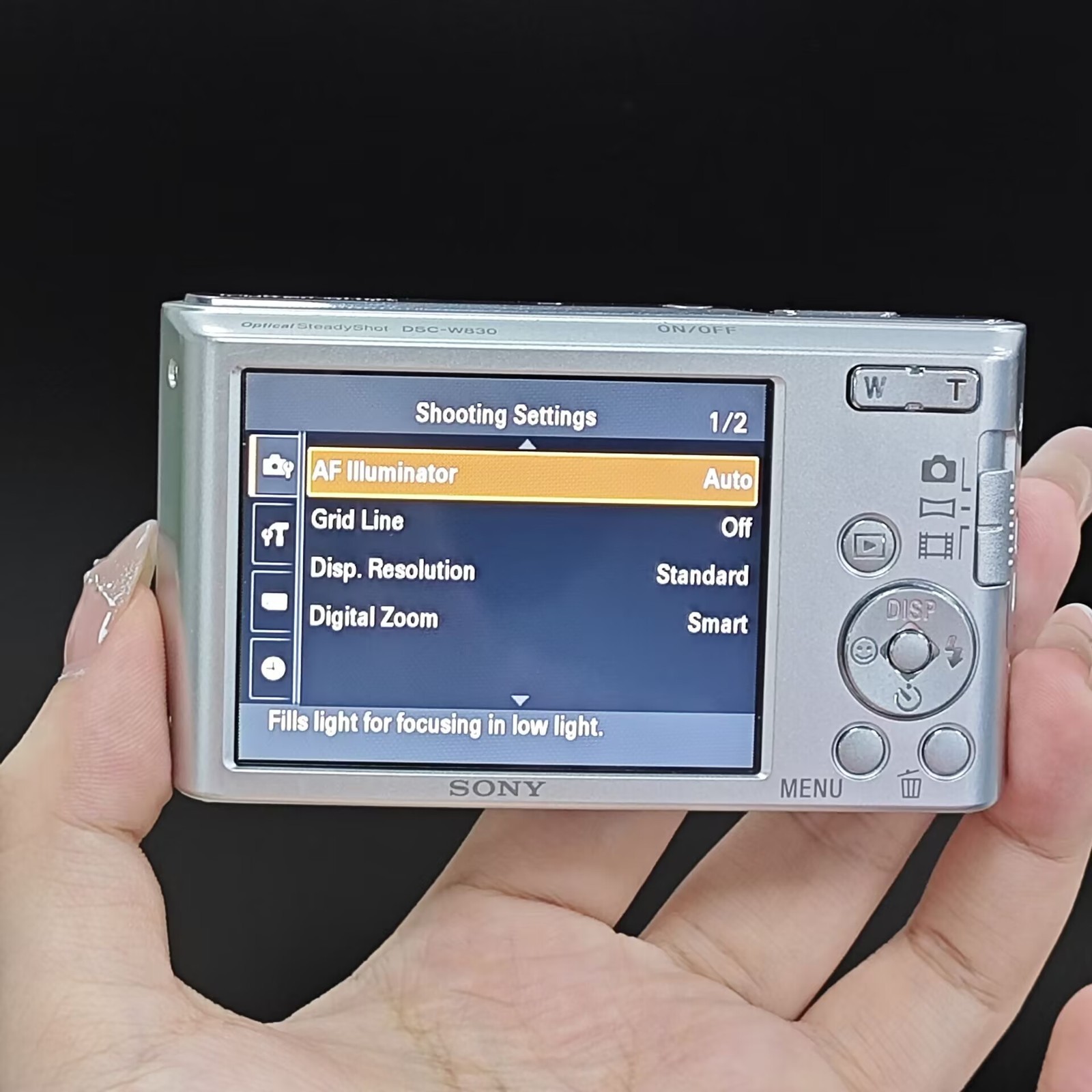 Silver Sony Cyber-Shot DSC-W830 20.1MP 8x Optical Zoom Digital Camera English