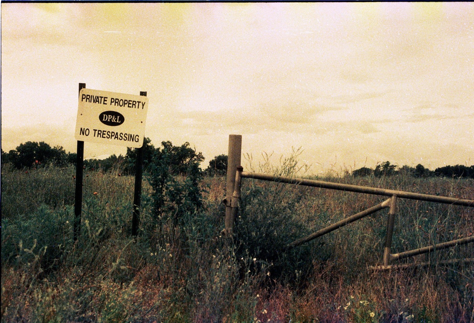 THE VENUS PROJECT – BRAND NEW 35mm Color Negative Film 100 ISO -Experimental Fun