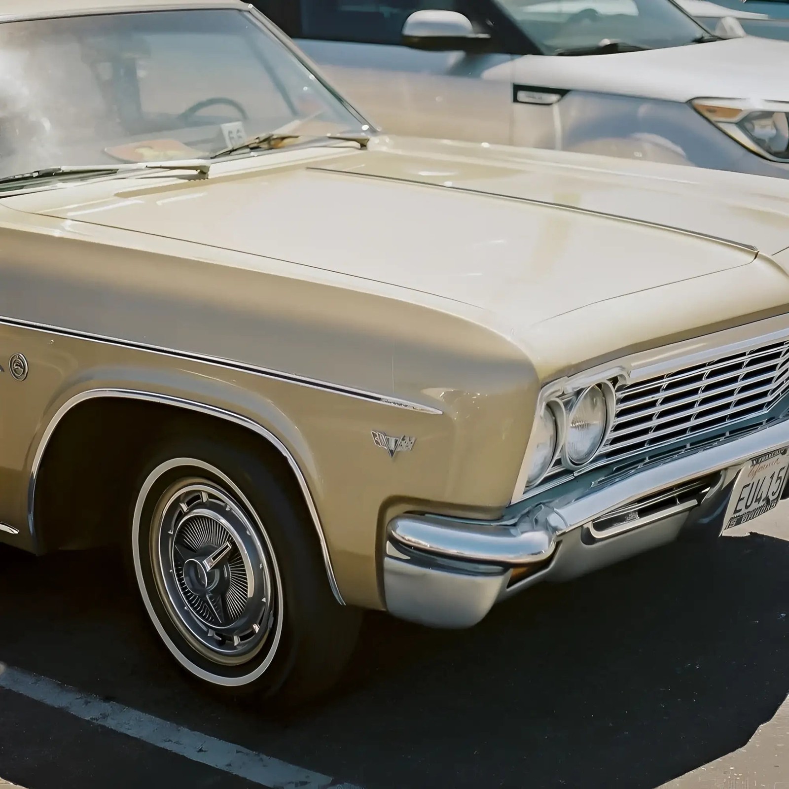 Candido C41 Color 400 ISO 35×36 Film Exp 04/2028