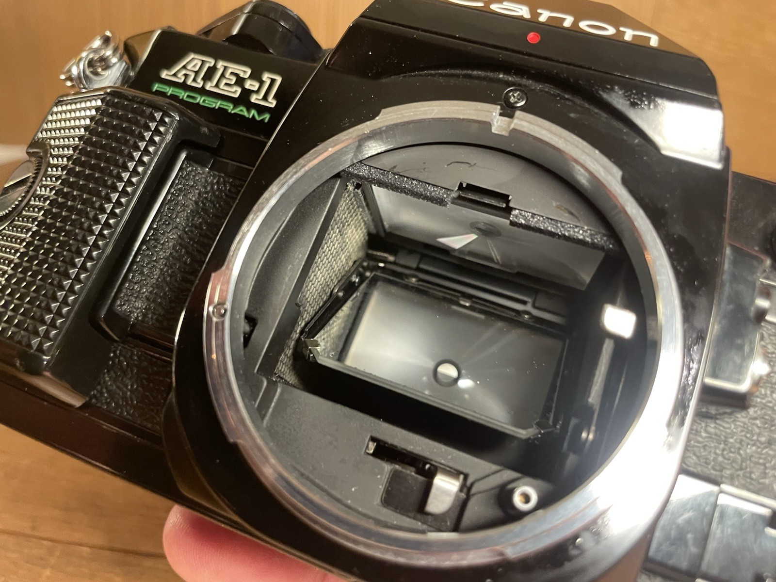 *Near Mint ++* Canon AE-1 Program Black SLR 35mm Film Camera Body From Japan