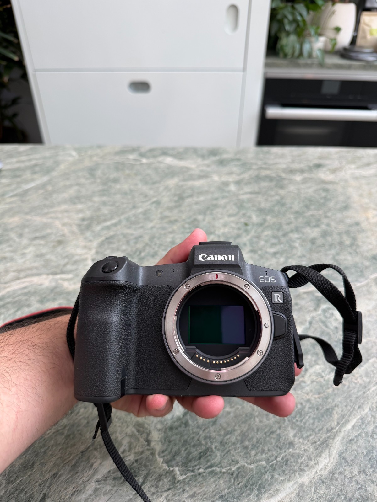 Canon EOS R + Canon RF 24-105mm f/4 L IS USM zoom lens (excellent condition)