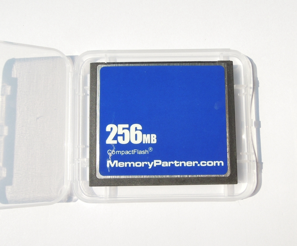 50 x 256MB Compact Flash Standard CF Memory Card Generic Brand New W/Cases