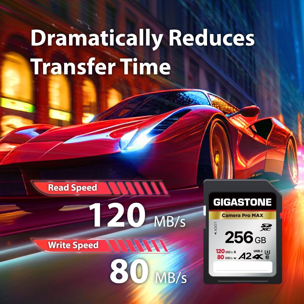 【5-Years Data SD 256GB V60 1PK, 4K Camera Pro MAX Card 1-Pack