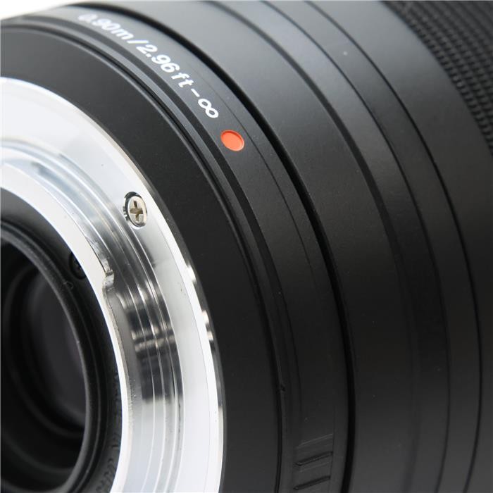 Olympus M.Zuiko Digital ED 75-300mm F/4.8-6.7 II #207