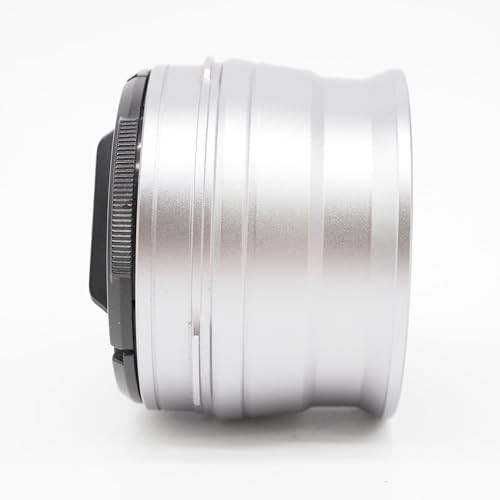 Fujifilm WCL-X100S Wide Conversion Lens for X100 Series Silver – Excellent