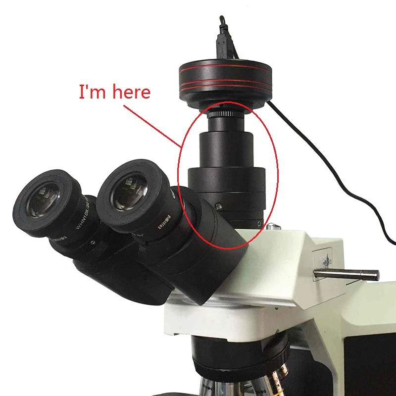 1X 0.35X 0.5X 0.63X Focusable Microscope C mount Adapter Trinocular Reduce Lens