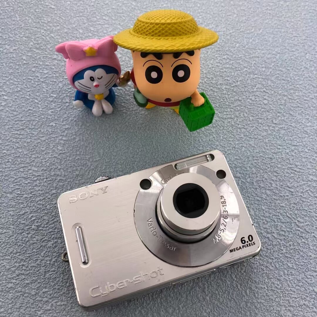 Sony Cyber-shot DSC-W50 6.0MP 3x Optical Zoom Digital Camera – Silver