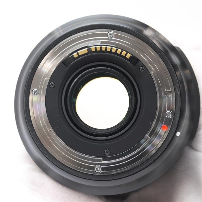 Sigma 24-70mm F/2.8 DG OS HSM Art (for Canon EF mount) #227