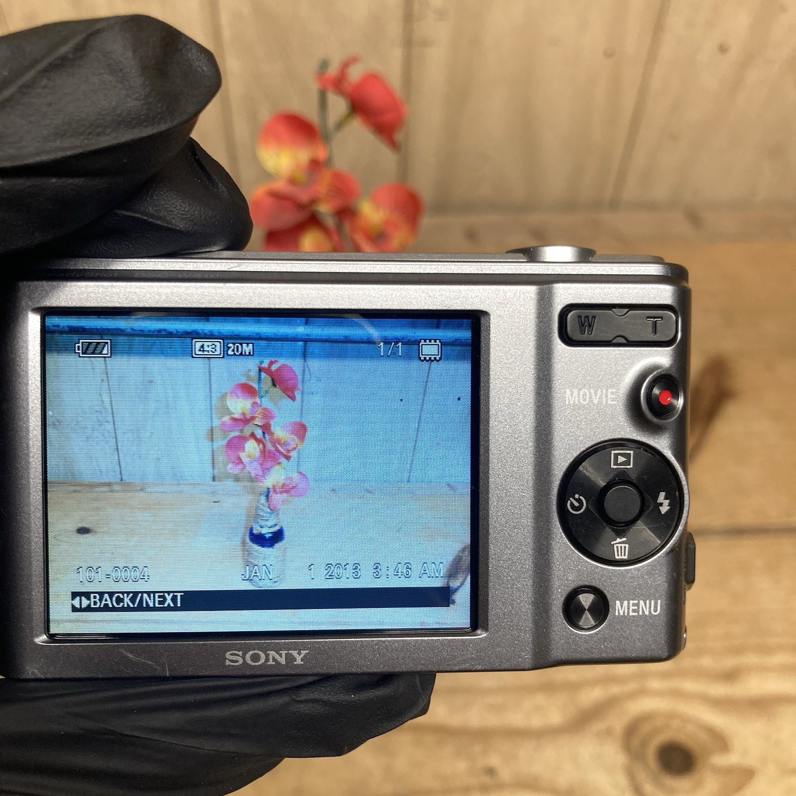 Sony Cyber-shot DSC-W810 20.1MP Compact Camera w/ Case & Charger – WORKS GREAT