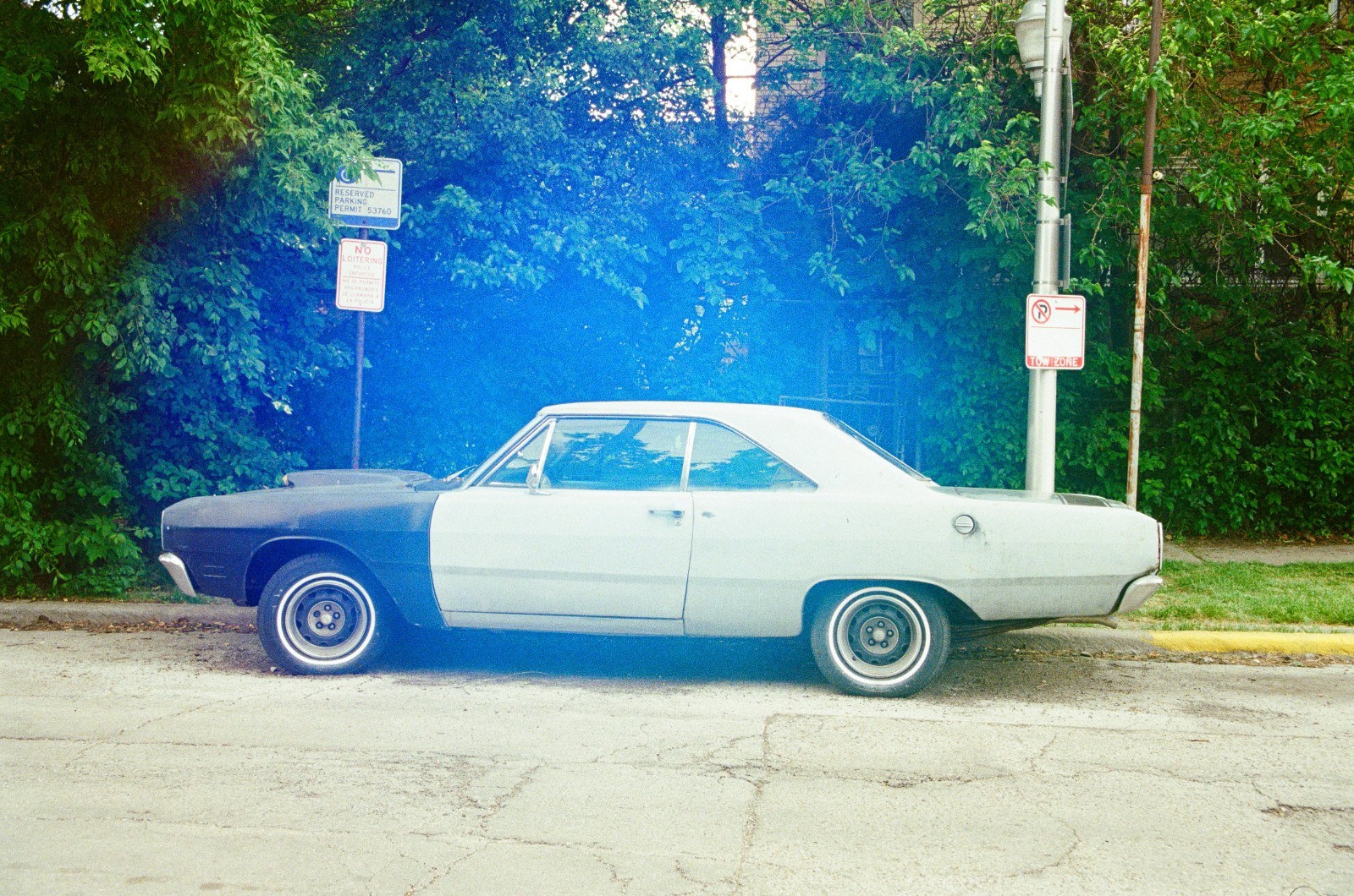 Galatic Pigeon 400 – 35mm Experimental Color Film – 36 Exposure Roll