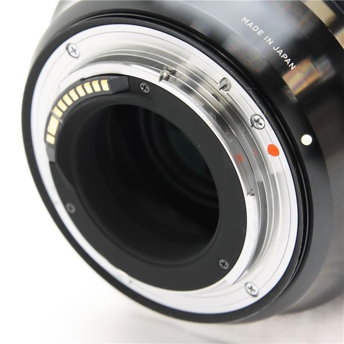Sigma 24-70mm F/2.8 DG OS HSM Art (for Canon EF mount) #109