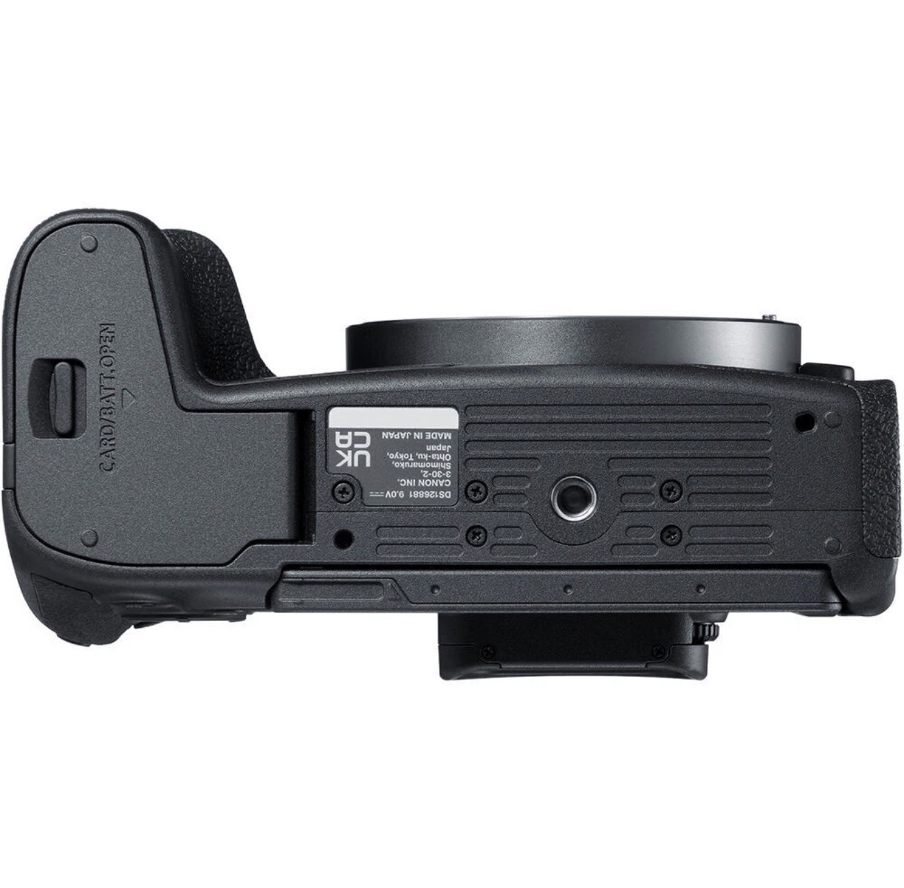 Canon R8 With RF 24-50mm f/4.5-6.3 IS STM lens + Canon Extension Grip EG-E1 inc