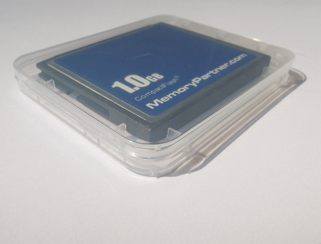 10 x 1GB CompactFlash Standard CF Memory Card Generic Brand New W/Cases