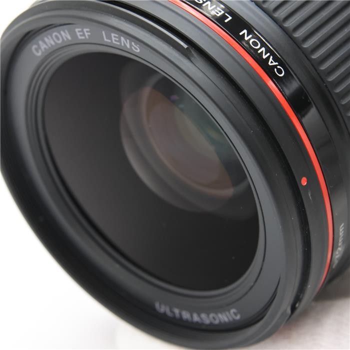 Canon EF 35mm F/1.4L USM (Canon EF mount) #78
