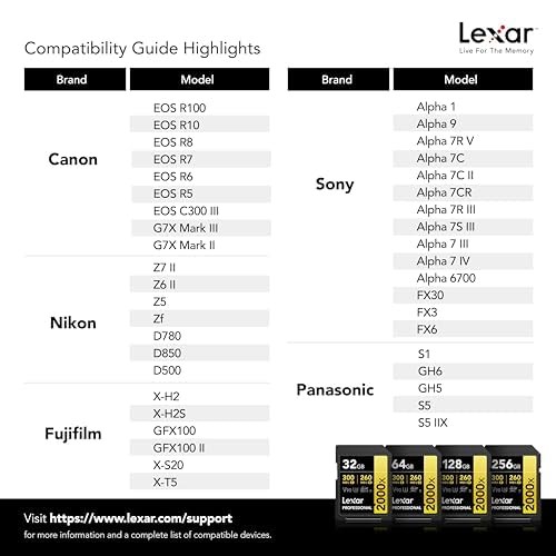 128GB Professional 2000x SD Card, UHS-II, C10, U3, V90, Full HD, 8K, Up To 30…