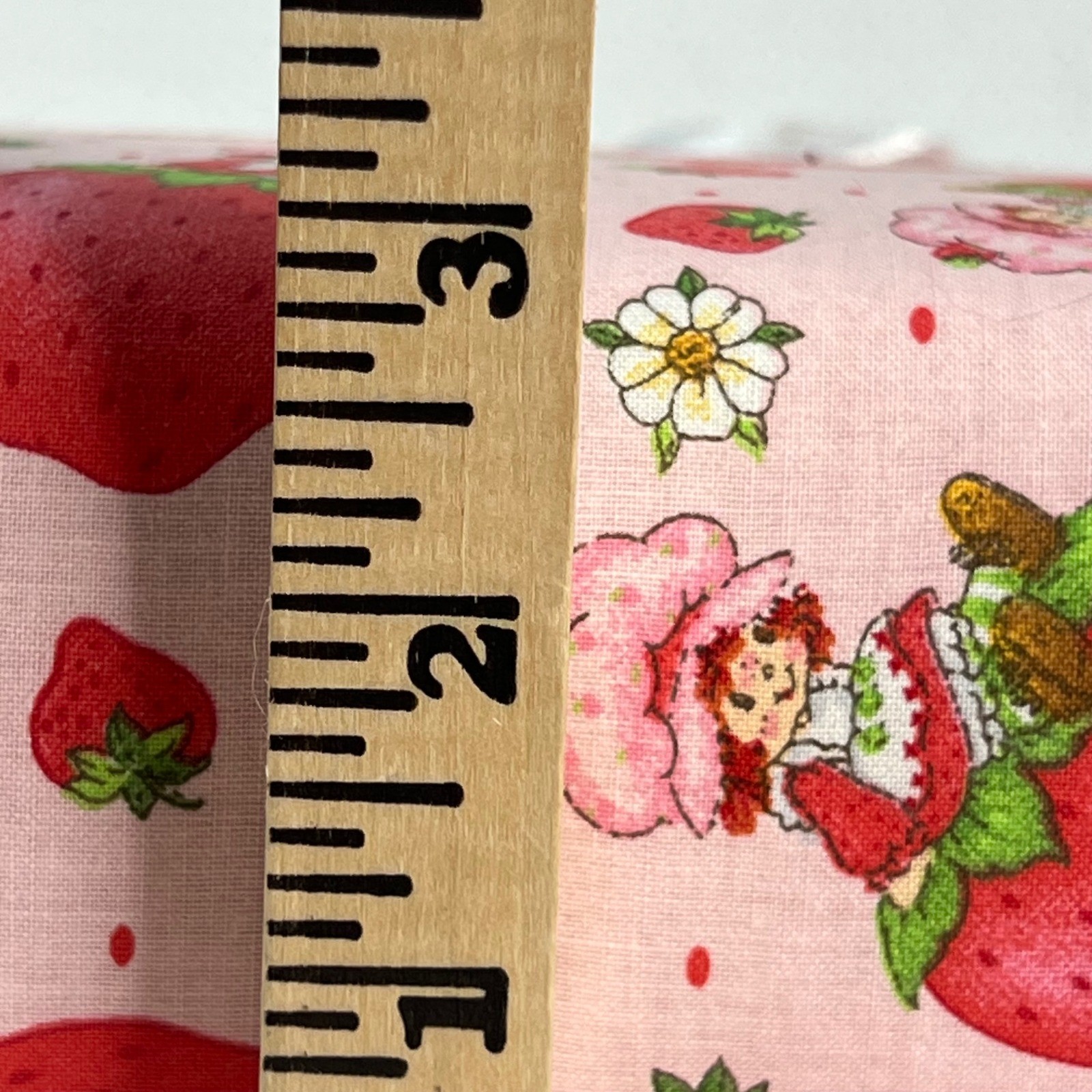 Handmade Strawberry Shortcake Fabric Photo Album 3-Ring Binder Eyelet Lace Pink