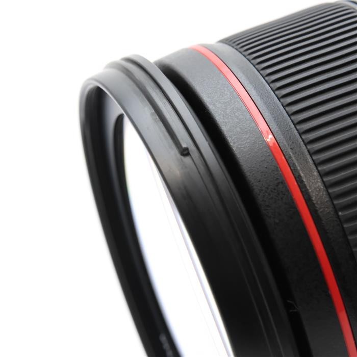 Canon EF 24-70mm F/2.8L II USM (Canon EF mount) #69