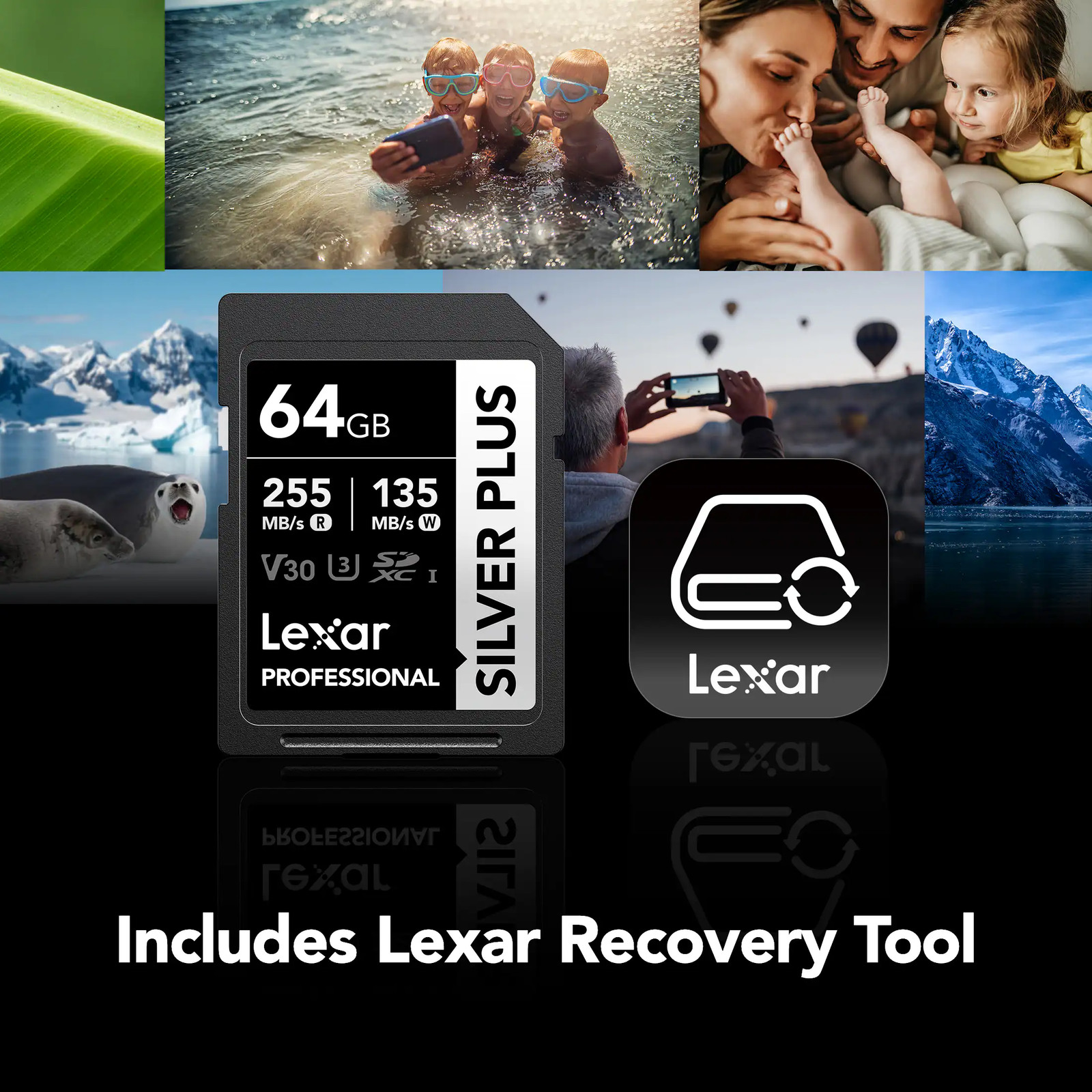 Lexar – Professional SILVER PLUS SDXC, V30 64 GB