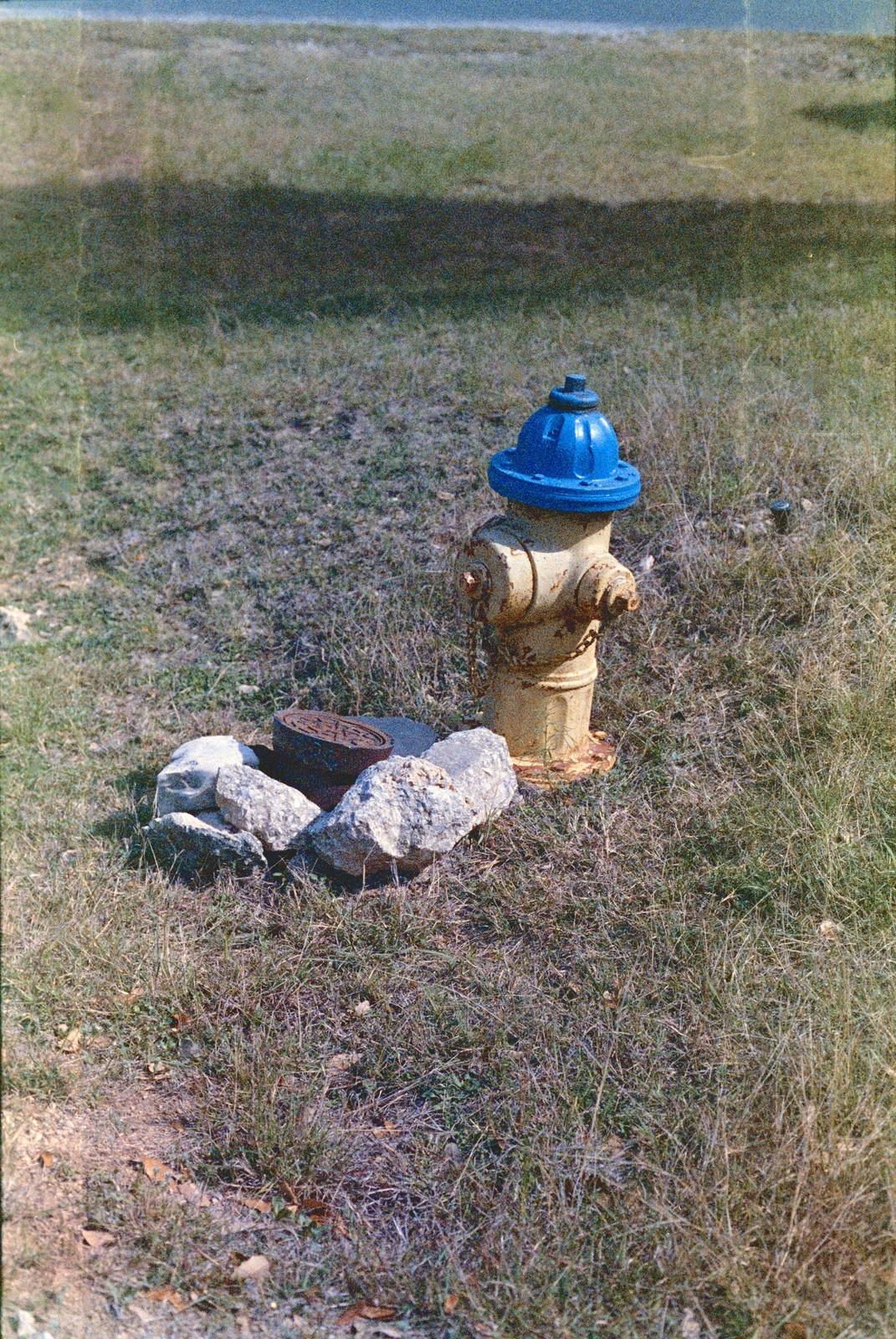 Darko’s 5289 — 35mm ECN-2 Color Negative Film — ISO 100–400 Tungsten 24 Exp