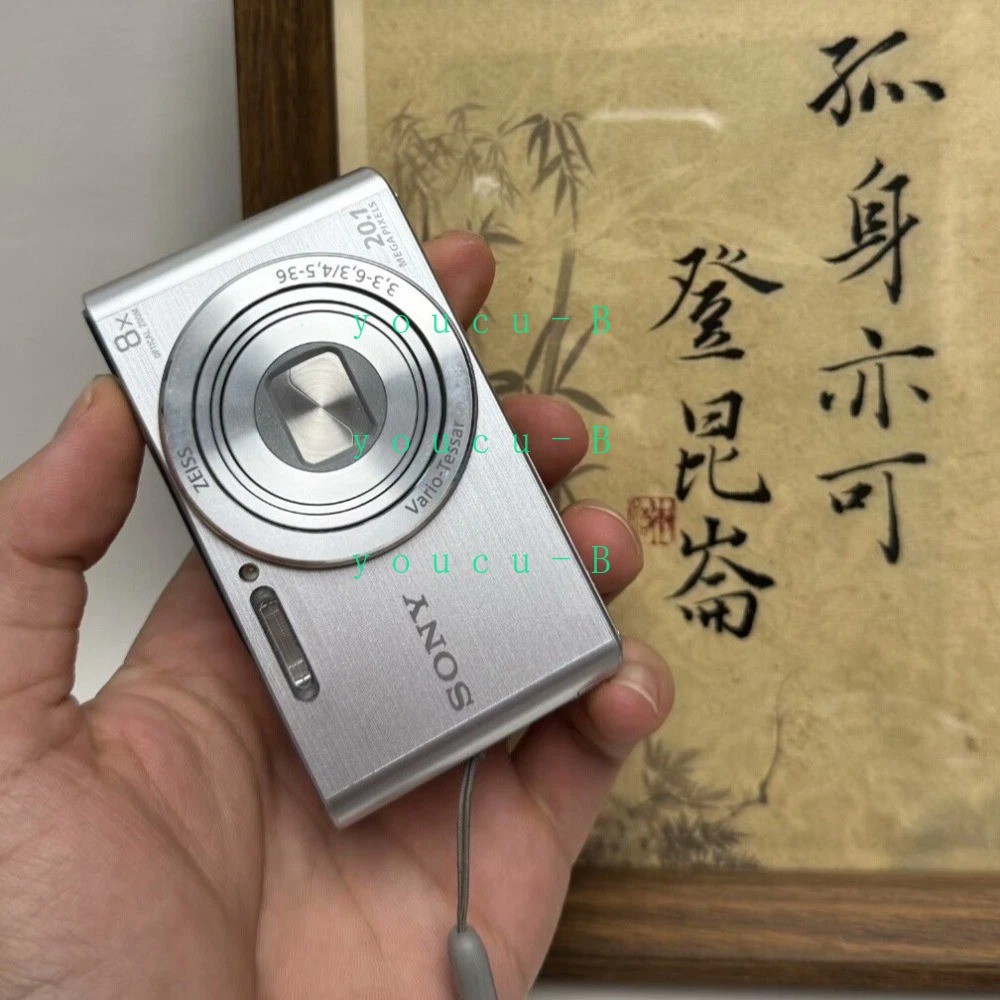 Sony Cyber-Shot DSC-W830 20.1MP 8x Optical Zoom Digital Camera Silver