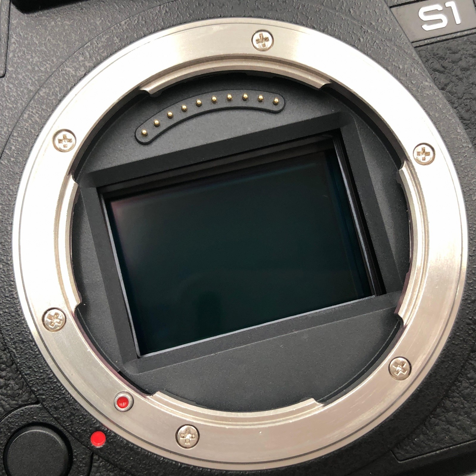 Panasonic Lumix S1 DC-S1 24.0MP Mirrorless Camera + Accessories Excellent