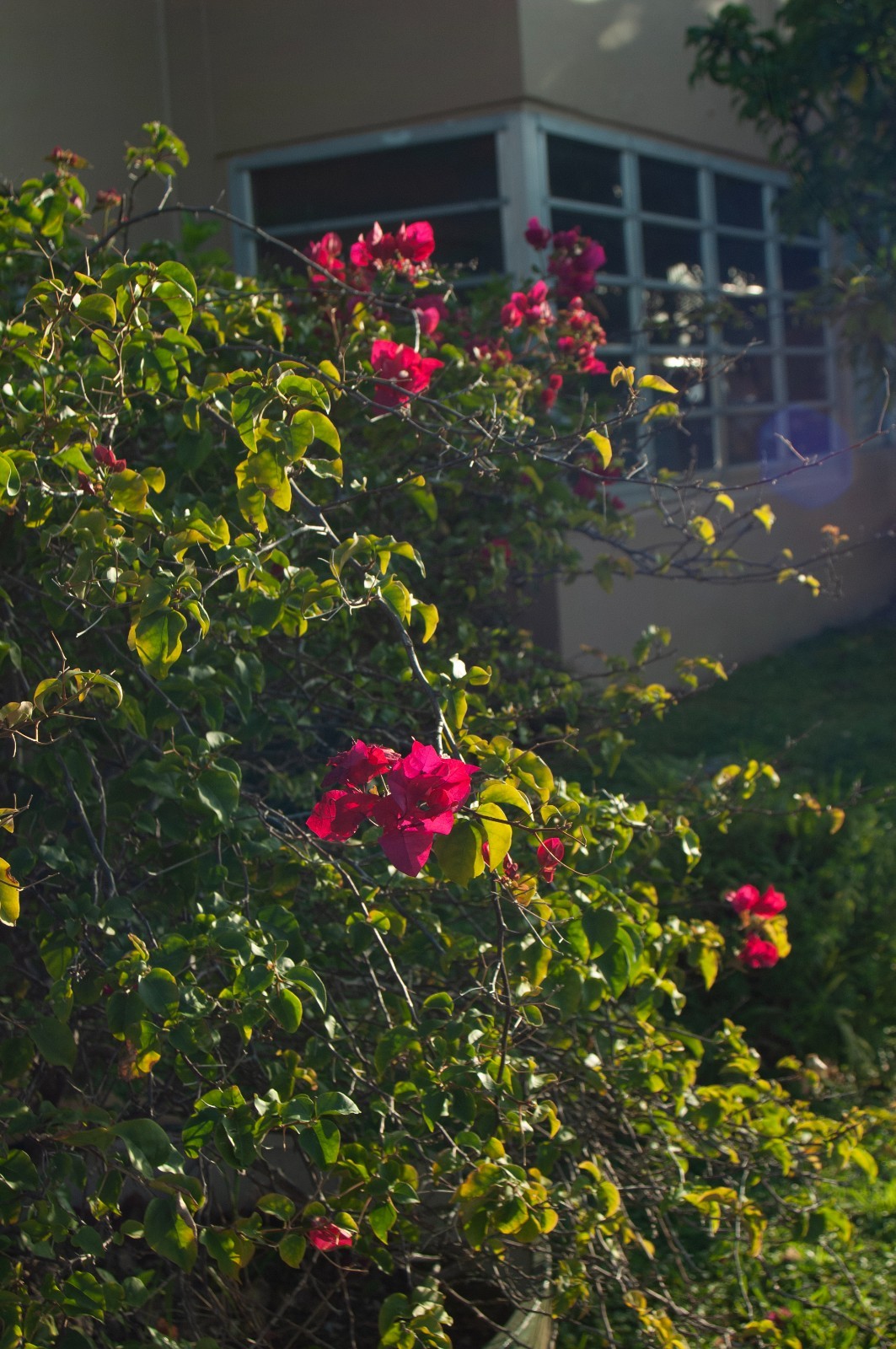 Sony E-mount adapted Quantarary/Tokina 19-35 for A7 A7RIII A1 A79 A7C A7Sii -Exc