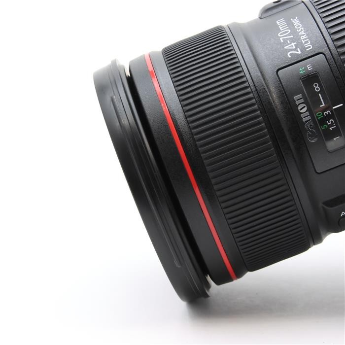 Canon EF 24-70mm F/2.8L II USM (Canon EF mount) #69