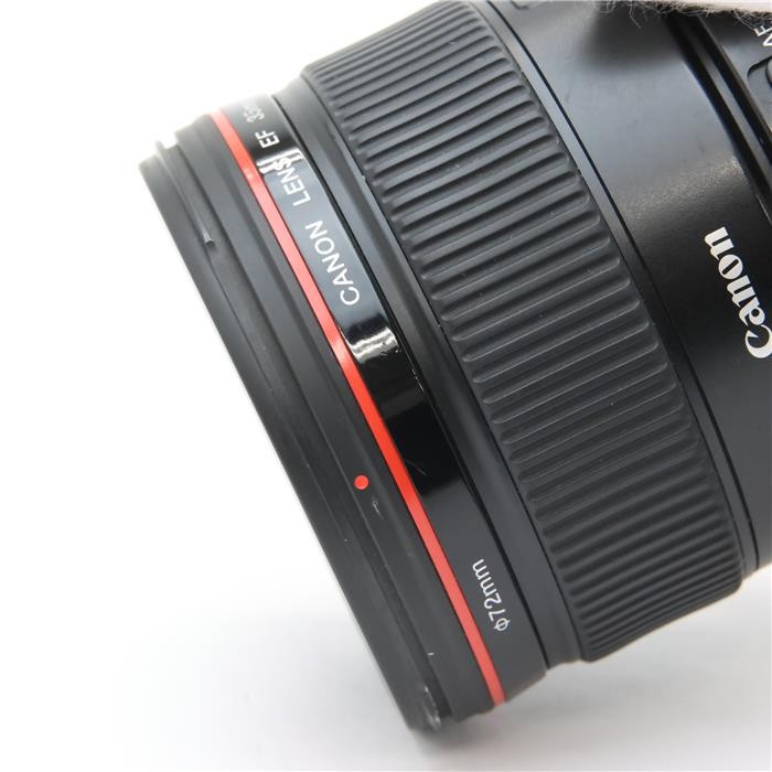 Canon EF 35mm F/1.4L USM (Canon EF mount) #78
