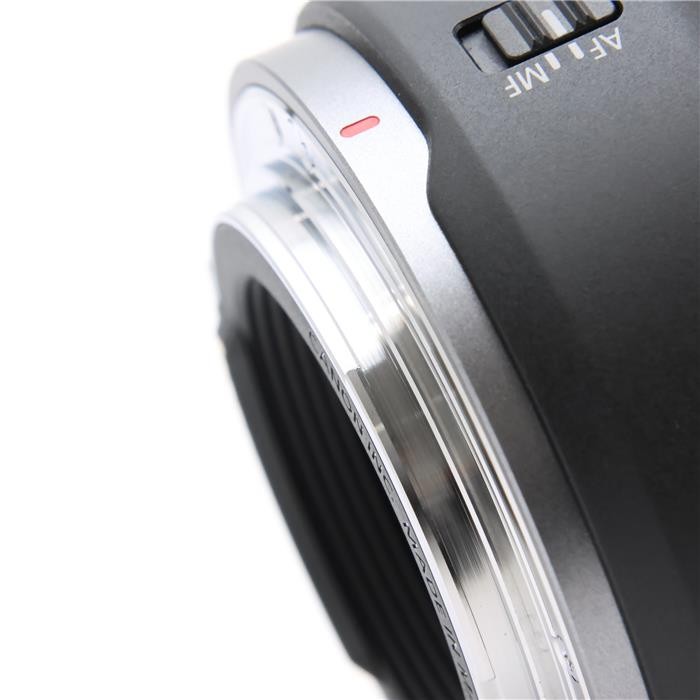 Canon RF 45mm F1.2 STM (for Canon RF mount) -Near Mint- #183