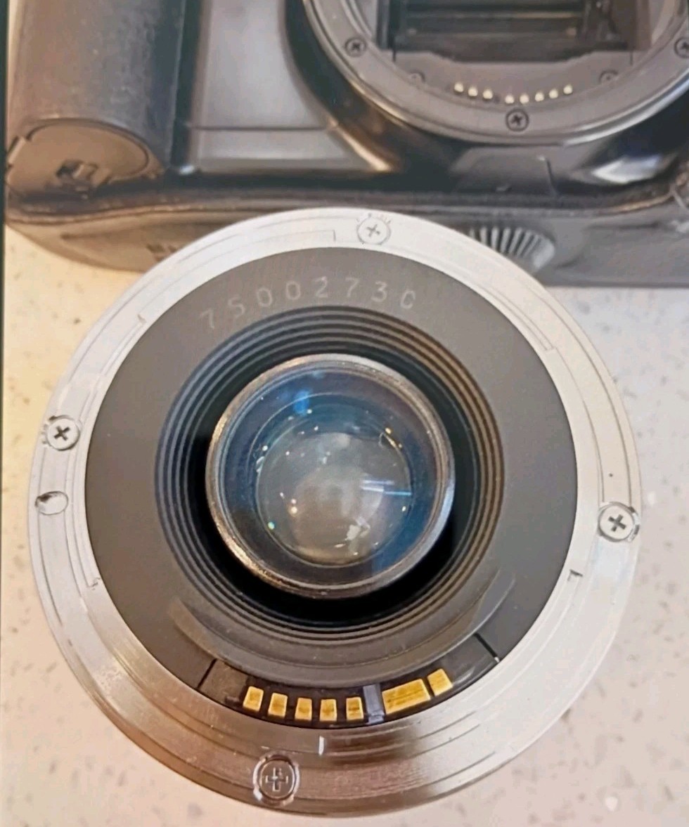 Canon EOS Rebel XS 35mm film SLR camera EF28-105mm f/3.5-4.5 yellow flower lens
