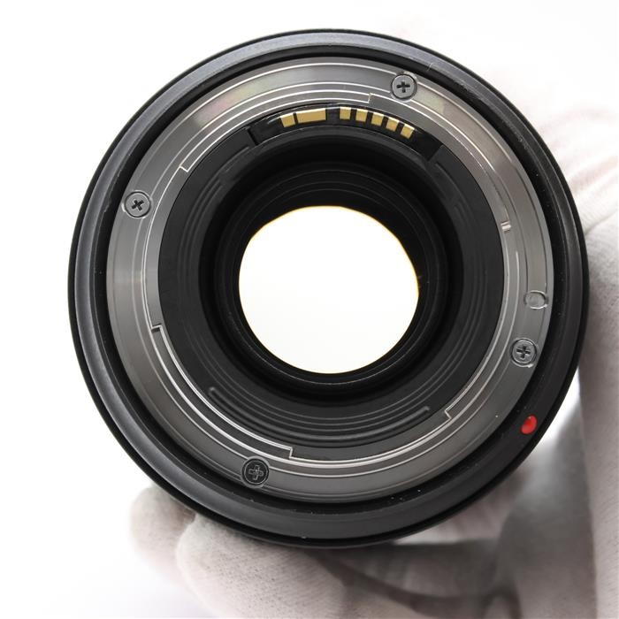Canon EF 24-70mm F/2.8L II USM (Canon EF mount) #69