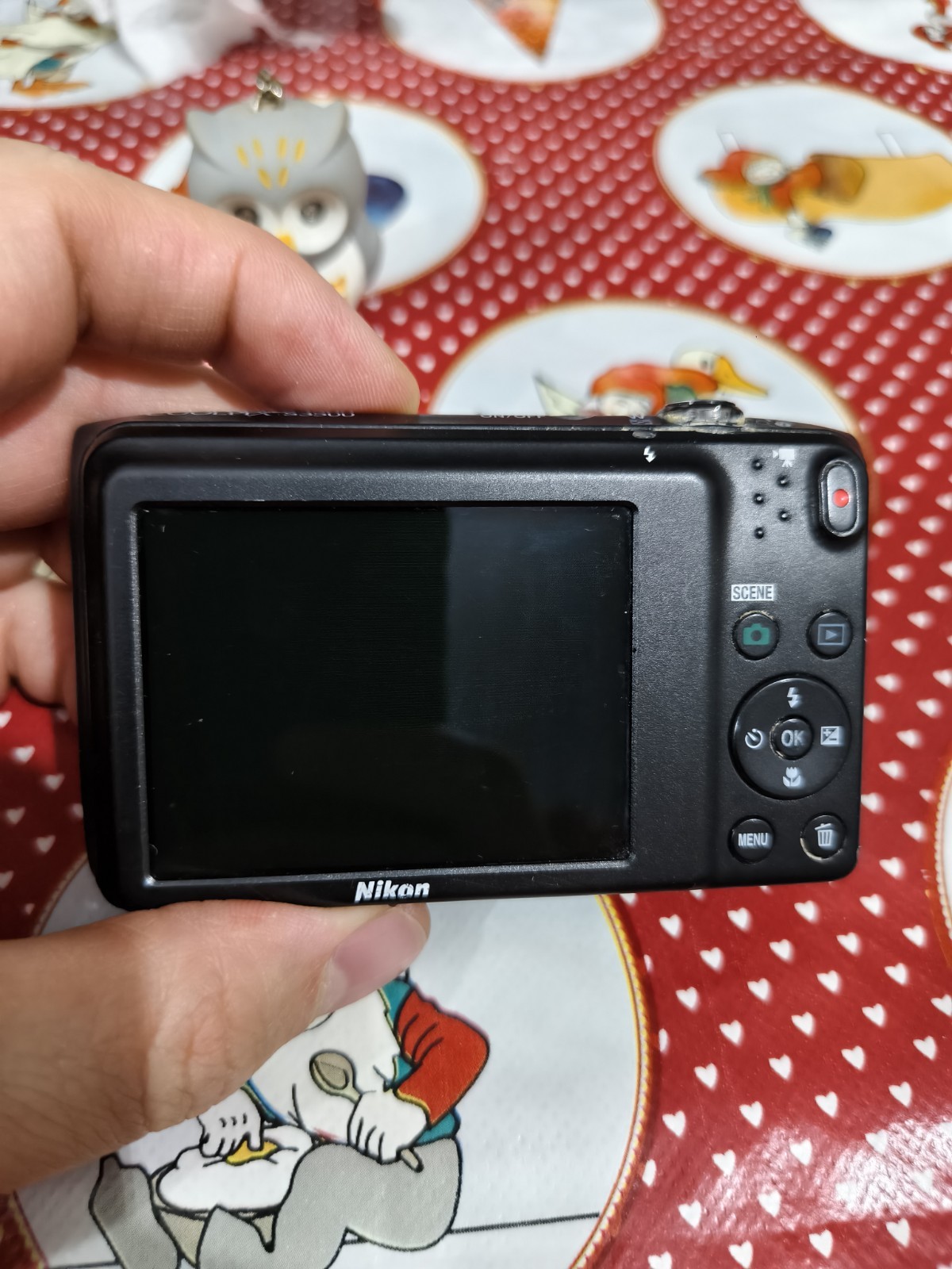 Nikon Coolpix S3500 Camera