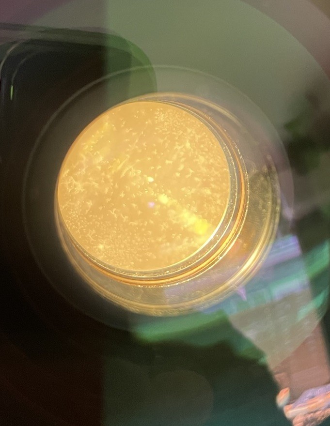 *Fungus Exc+3* Tokina AT-X Pro AF 28-70mm F/2.8 AT-X 270 AF Zoom Lens for Nikon
