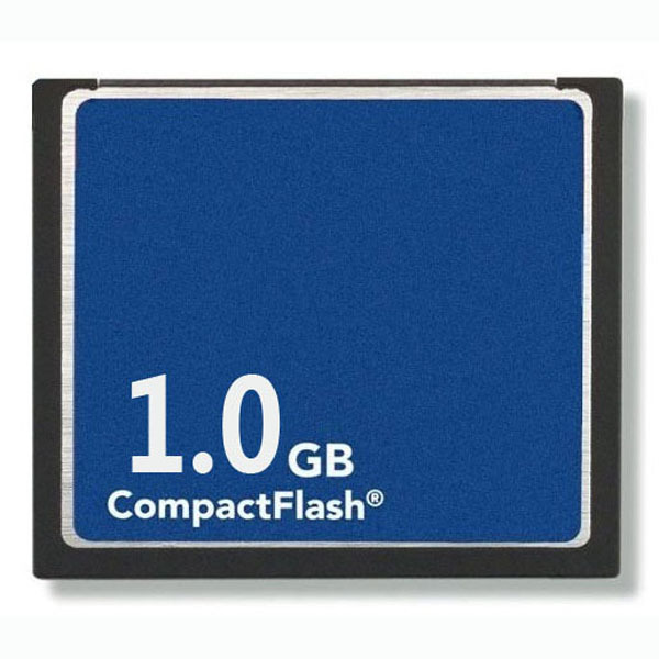 10 x 1GB CompactFlash Standard CF Memory Card Generic Brand New W/Cases