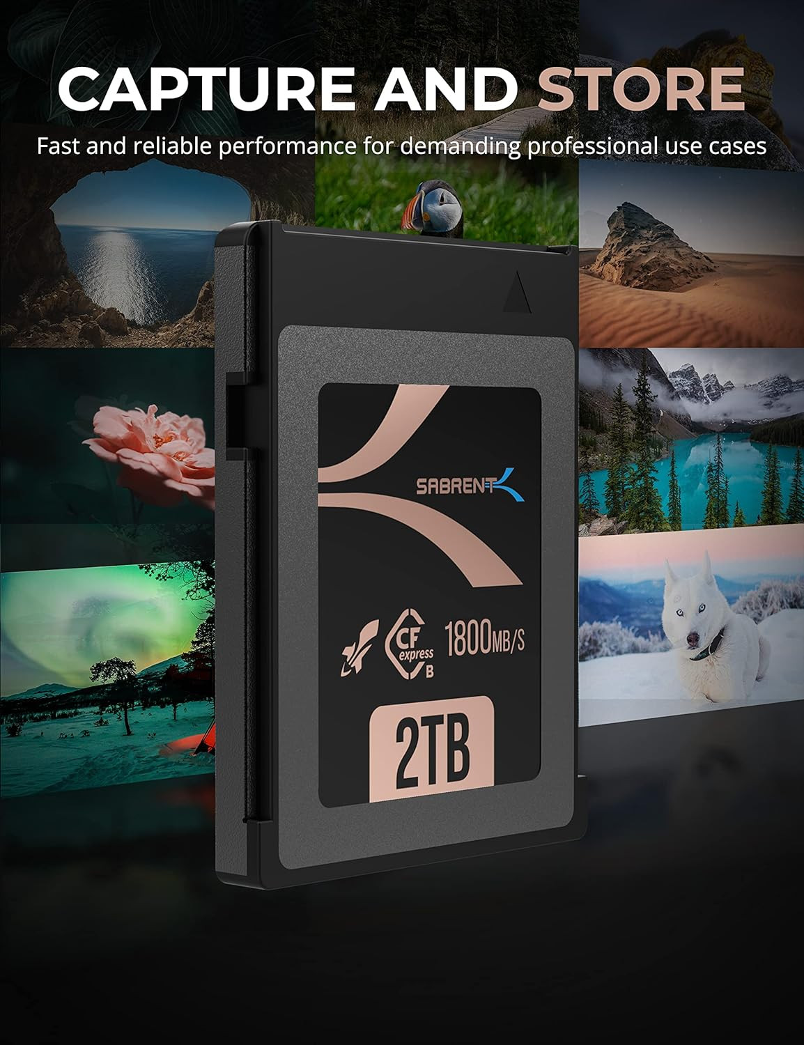Rocket CFX PRO 2TB Cfexpress Type B Memory Card R1800Mb/S W1700Mb/S (CF-XXIT-2TB