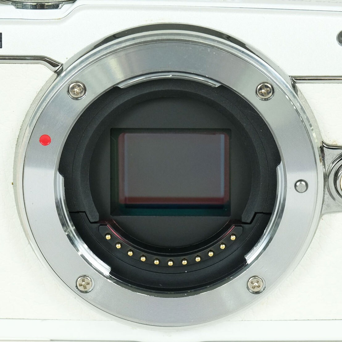 Olympus PEN Lite E-PL7 Body White Micro Four Thirds Camera with Flip Screen