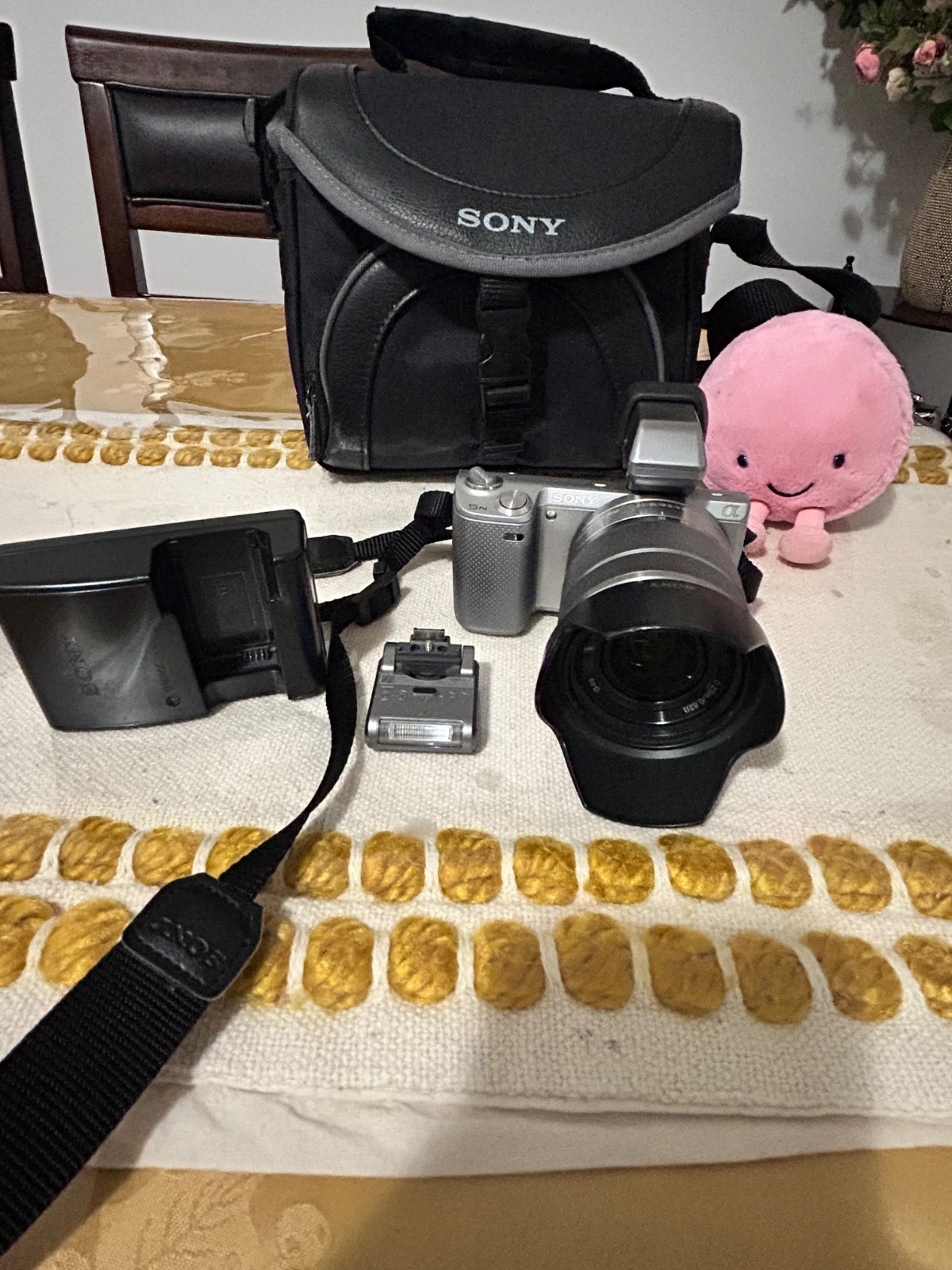 Complete Sony NEX-5N Kit – 18-55mm Lens, OLED Viewfinder, Flash, Charger, Bag