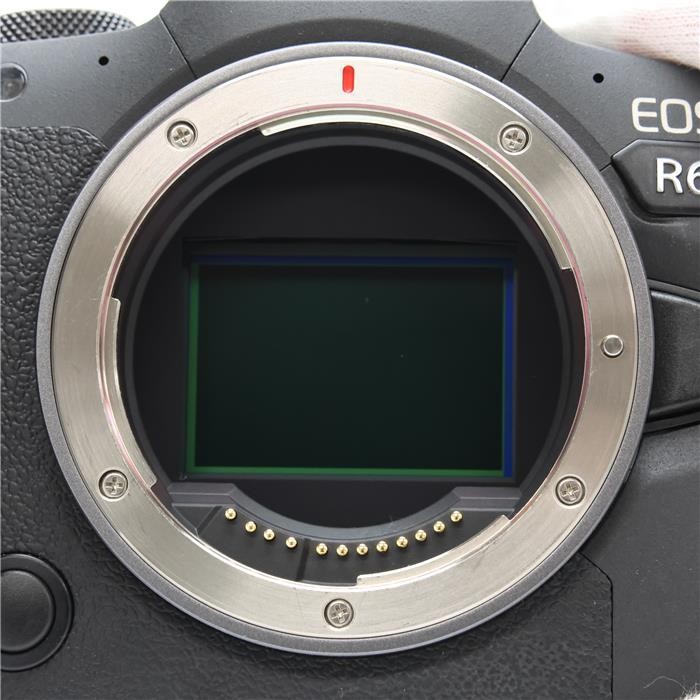 Canon EOS R6 20MP Full-Frame Mirrorless Camera Body #98