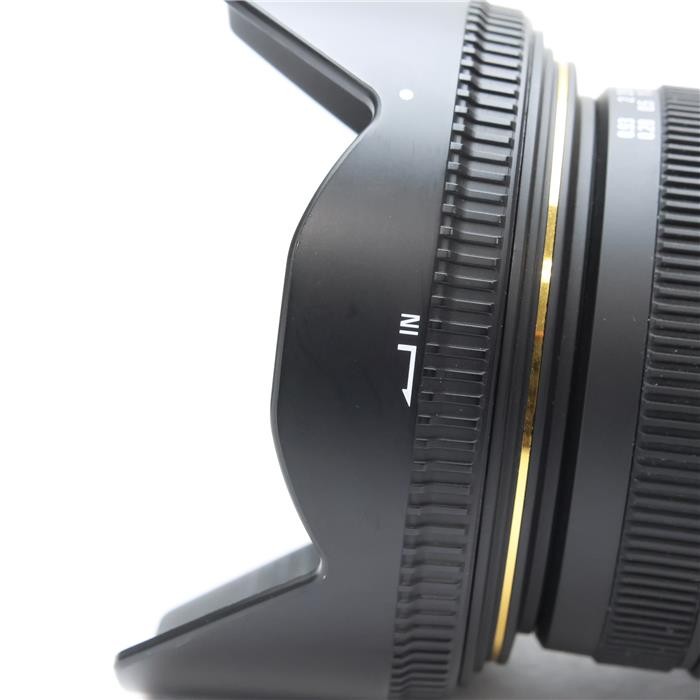 SIGMA 17-50mm F/2.8 EX DC OS HSM (for Canon EF mount) #199