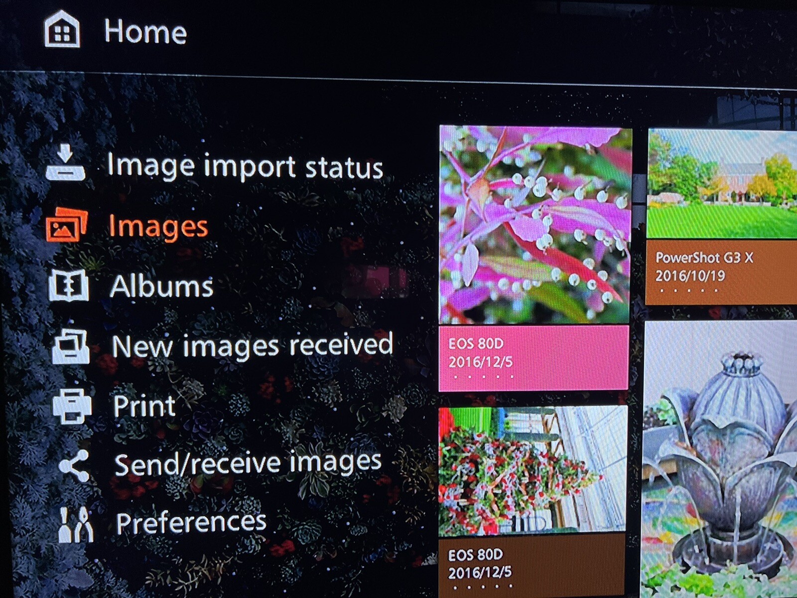 Picture Canon 1tb Data Storage Camera Station Photo Connect CS100 Working