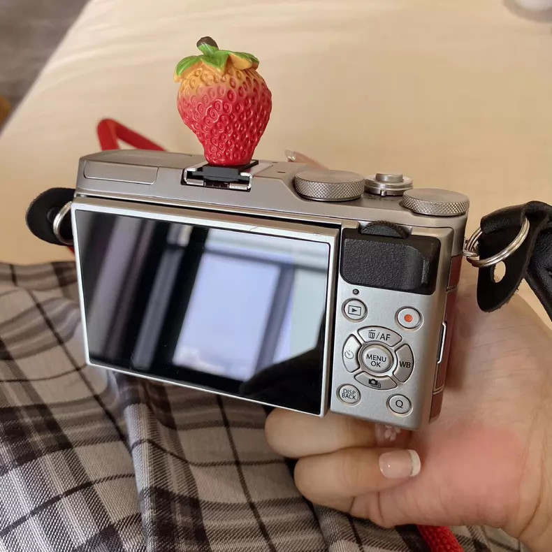 Fujifilm Fuji X-A3 24.2 MP Mirrorless Digital Camera w/35mm f1.6 Lens English