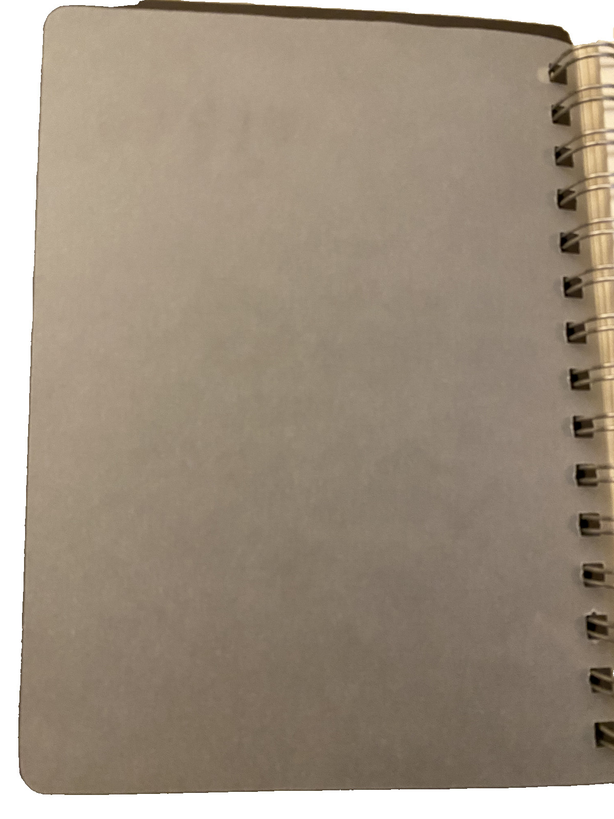 Bon Voyage Travel Photos Album For 4×6 Photos in Brown – New