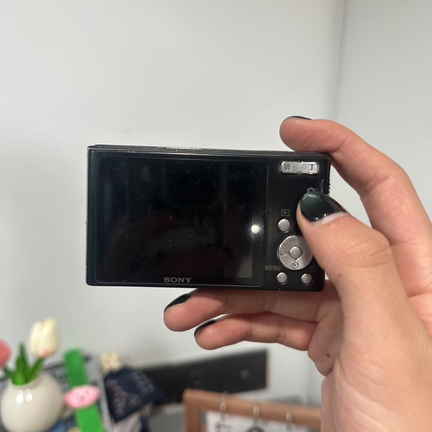 SONY Cyber-shot DSC-W320 Digital Camera 14.10 MP 4x Optical Zoom Built-in Flash