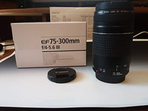 Canon EF 75-300mm f/4-5.6 III Telephoto Zoom Lens for Canon EOS 7D, 60D, EOS 70D