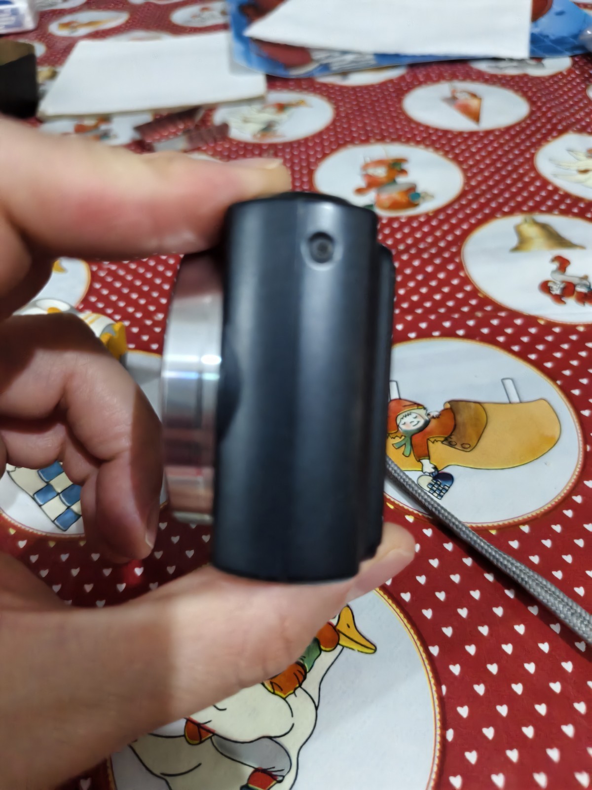 Panasonic Lumix DMC-TZ4 Camera
