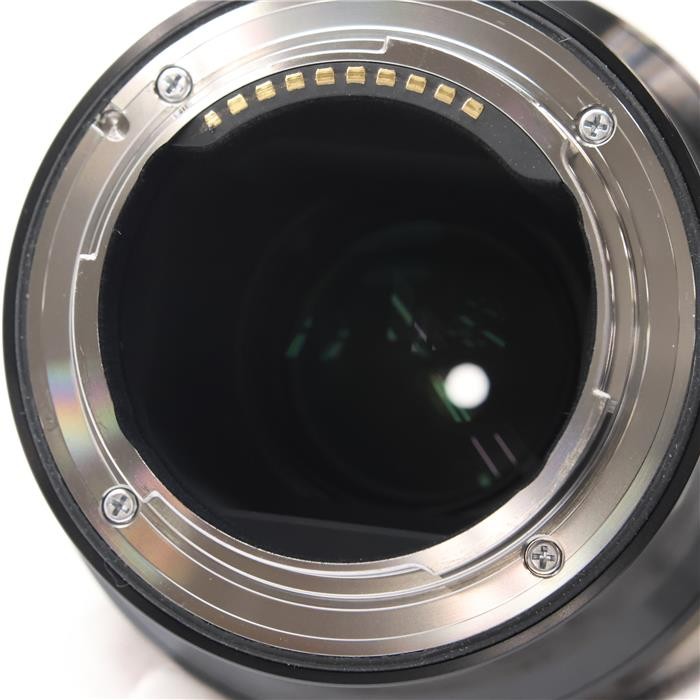 Sigma 70mm F/2.8 DG MACRO Art (for Sony E mount) #236