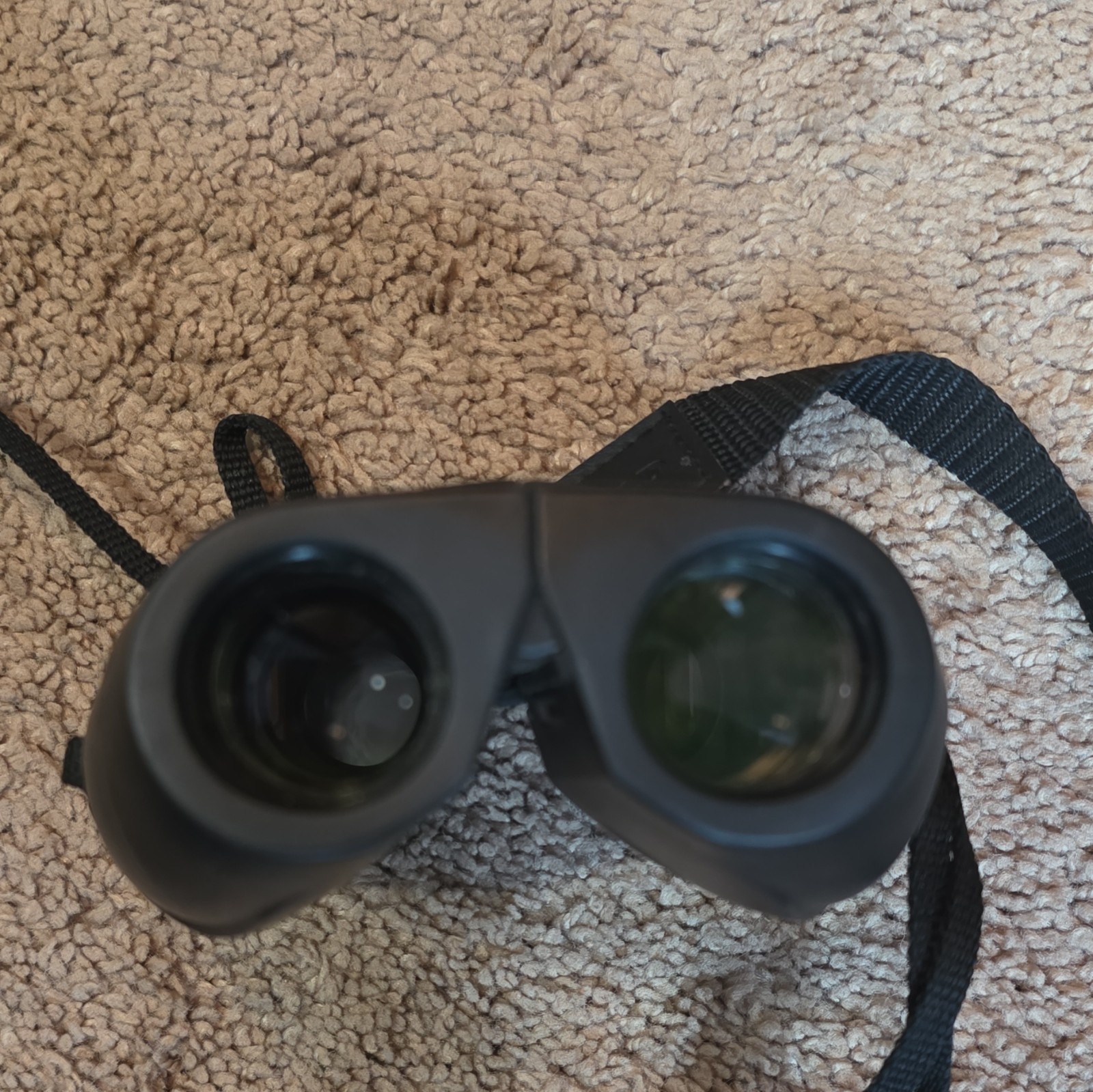 Leupold 10×25 Compact Roof Prism Binoculars Waterproof Multi-Coated Black