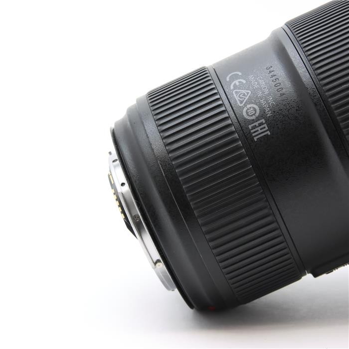 Canon EF 24-70mm F/2.8L II USM (Canon EF mount) #69